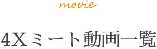 4Xミートムービーカタログ4Xチキン編