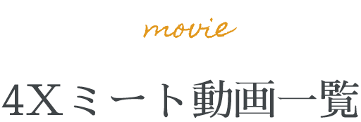 4Xミートムービーカタログ4Xチキン編