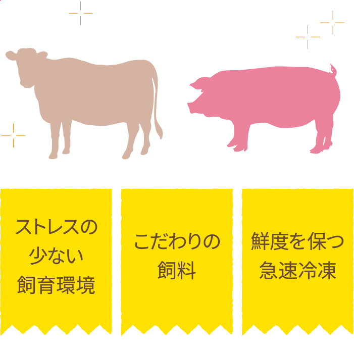 イラスト：4Xミート