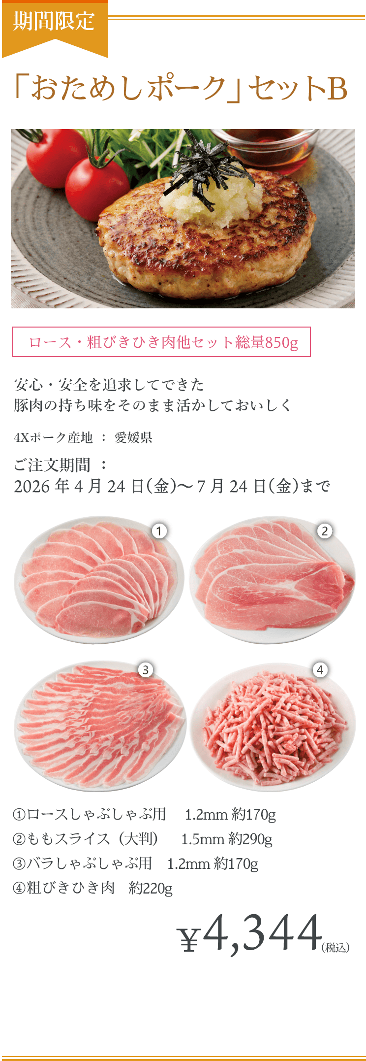 「おためしポーク」Bセット