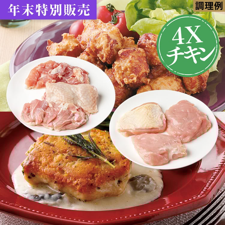 プチＦコースチキンベーシックコース