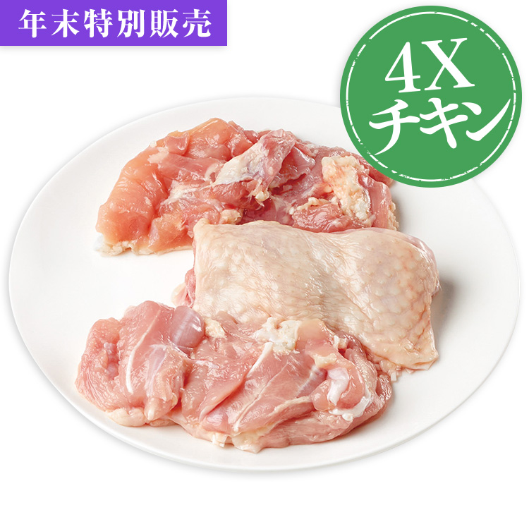 プチＦコースチキンベーシックコース