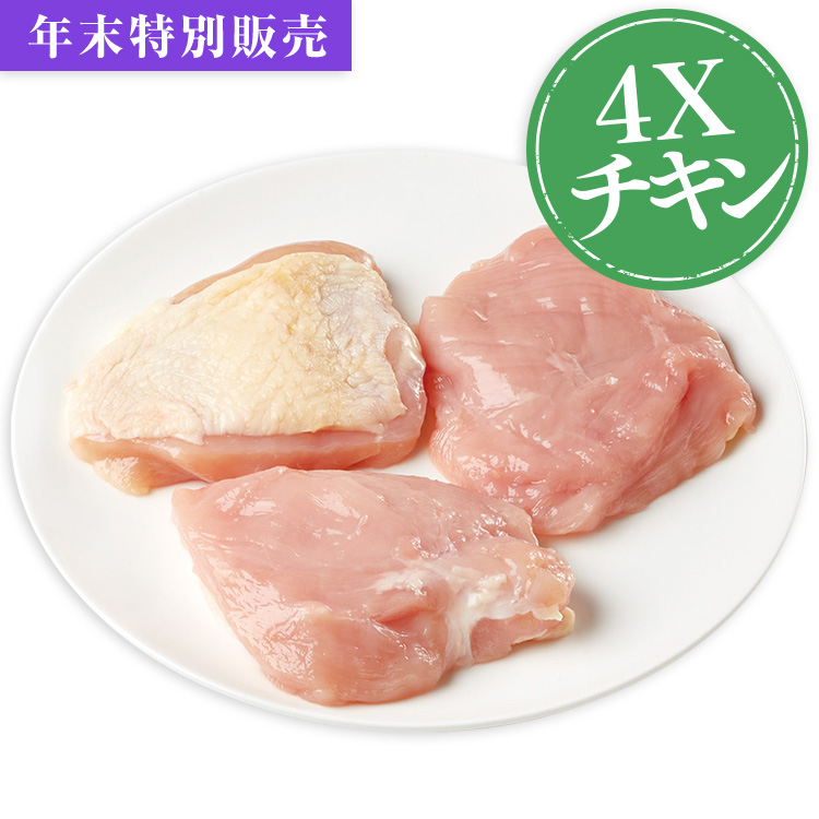 プチＦコースチキンベーシックコース