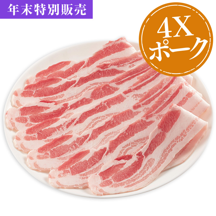 ４Ｘポーク焼肉・しょうが焼きＣコース