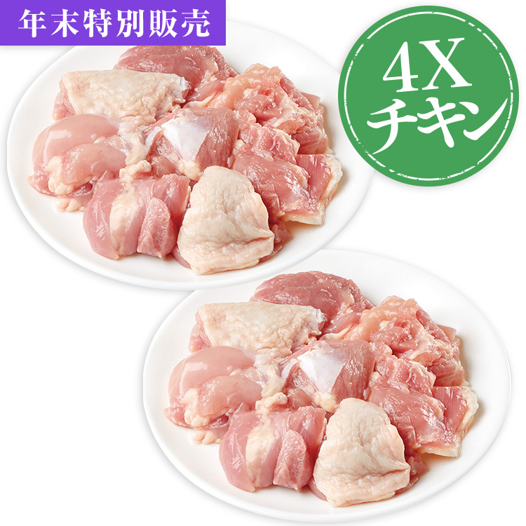 ４Ｘチキンぶつ切りＧコース