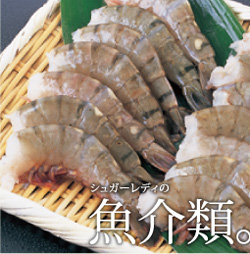 SL Creationsの魚介類