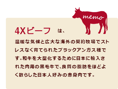 4Xビーフは、温暖な気候と広大な海外の契約牧場でストレスなく育てられたブラックアンガス種です。和牛を大型化するために日本に輸入された肉用の黒毛牛で、良質の脂肪をほどよく散らした日本人好みの赤身肉です。