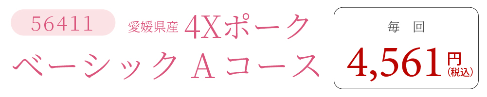 4XポークAコース