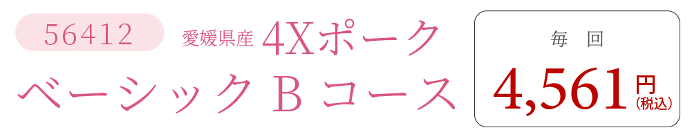 4XポークBコース