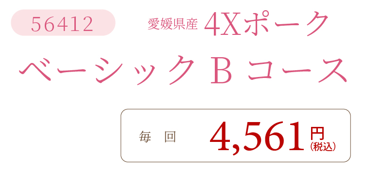 4XポークBコース