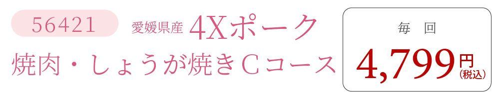 4XポークCコース