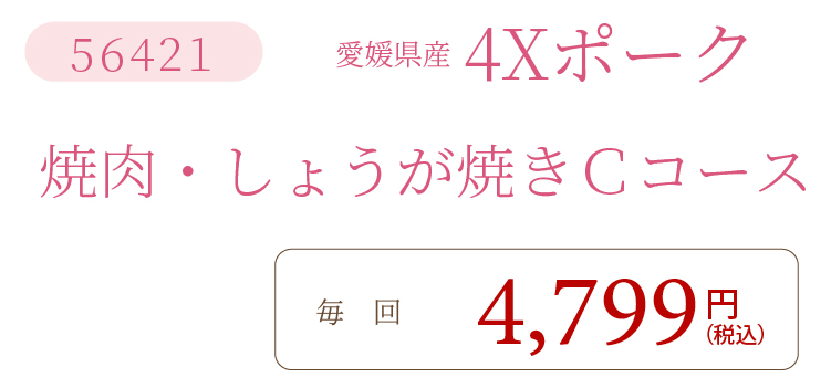 4XポークCコース