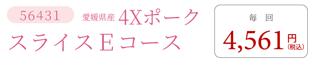 4XポークEコース