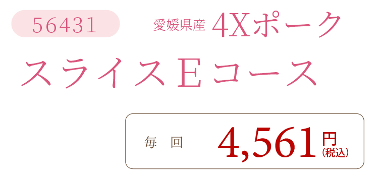 4XポークEコース