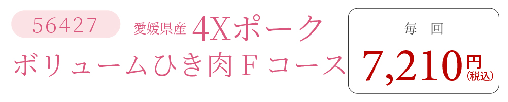 4XポークFコース