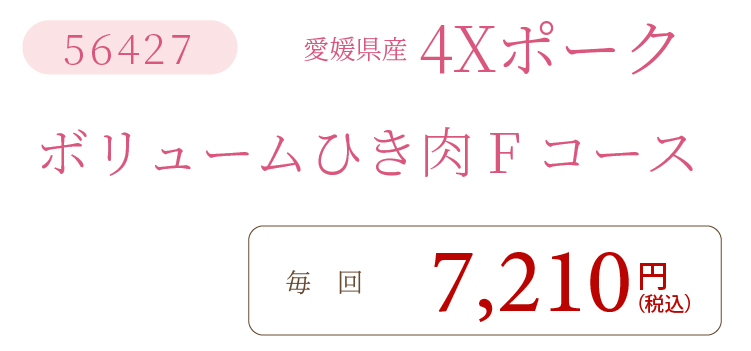 4XポークFコース