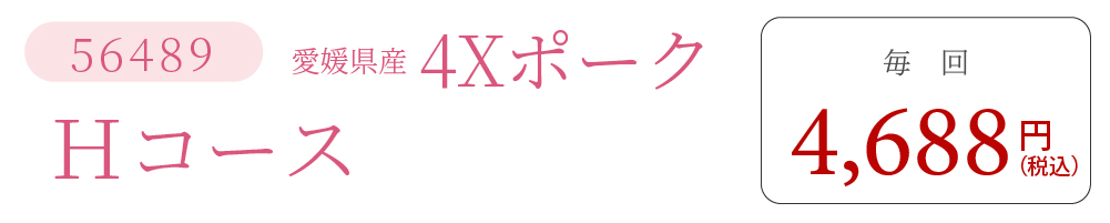 4XポークHコース