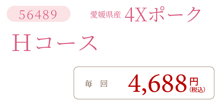 4XポークHコース