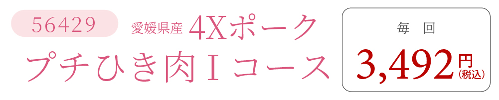4XポークIコース