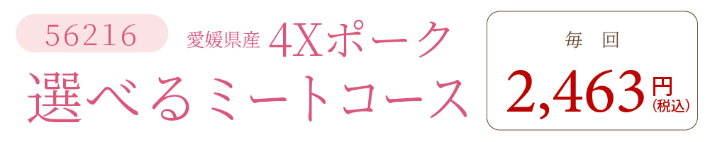 4Xポーク選べるミートコース