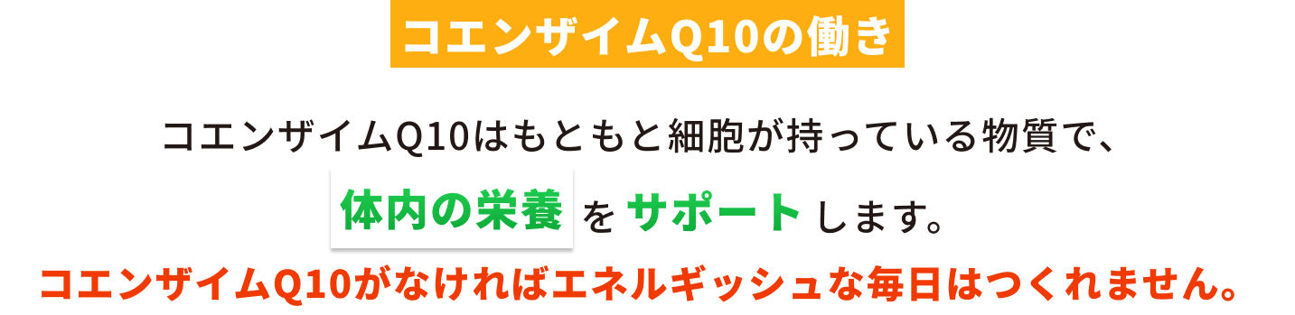 コエンザイムQ10の働き