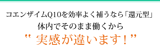 Sl Creationsオンラインストア 公式通販サイト